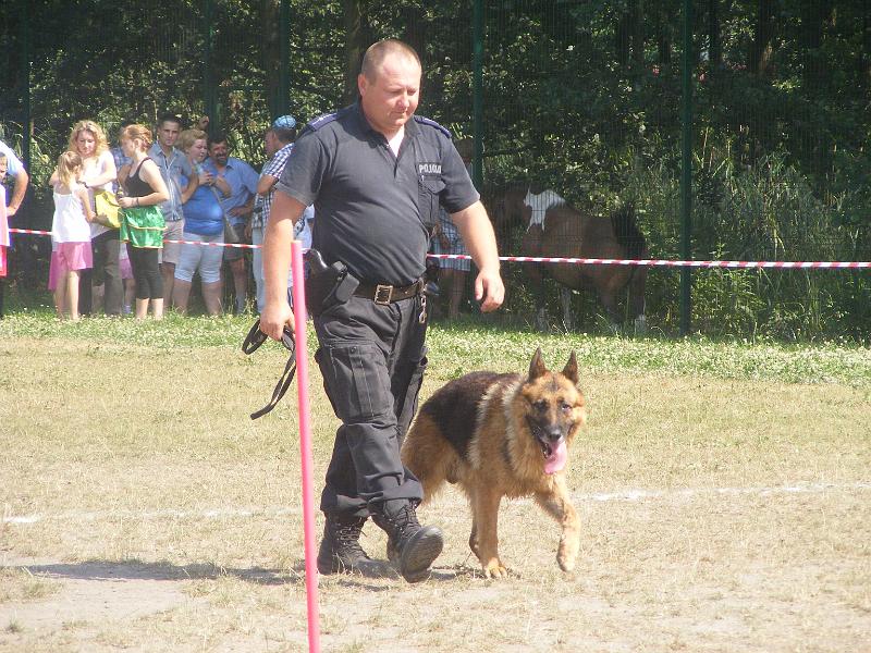 01.07.12r. FESTYN 119